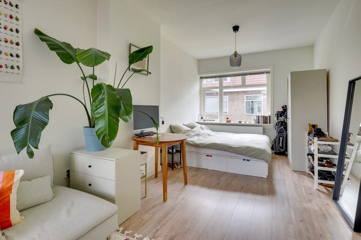 Foto 4 van Linnaeusstraat 30-BS