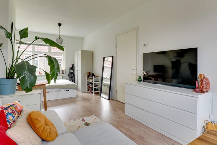 Foto 8 van Linnaeusstraat 30-BS