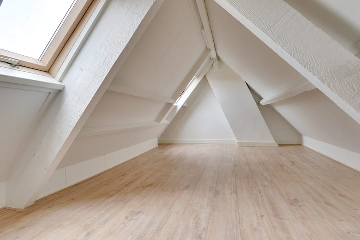 Foto 31 van Linnaeusstraat 30-BS