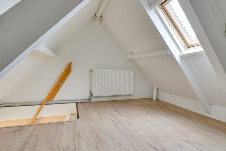 Foto 32 van Linnaeusstraat 30-BS