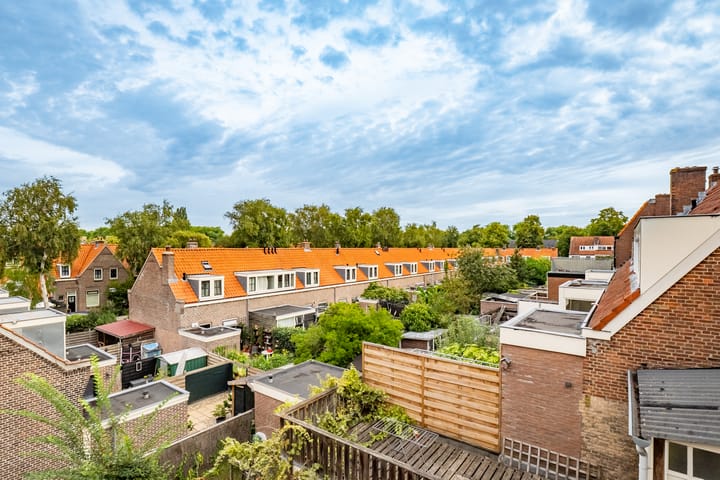 Foto 42 van Linnaeusstraat 30-BS