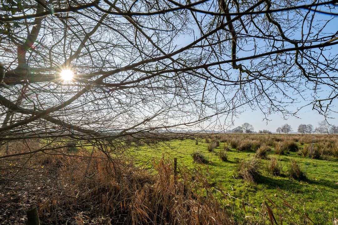 Foto 67 van De Doornweg 45