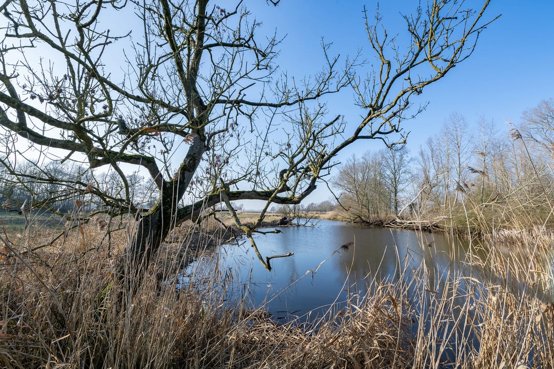 Foto 68 van De Doornweg 45