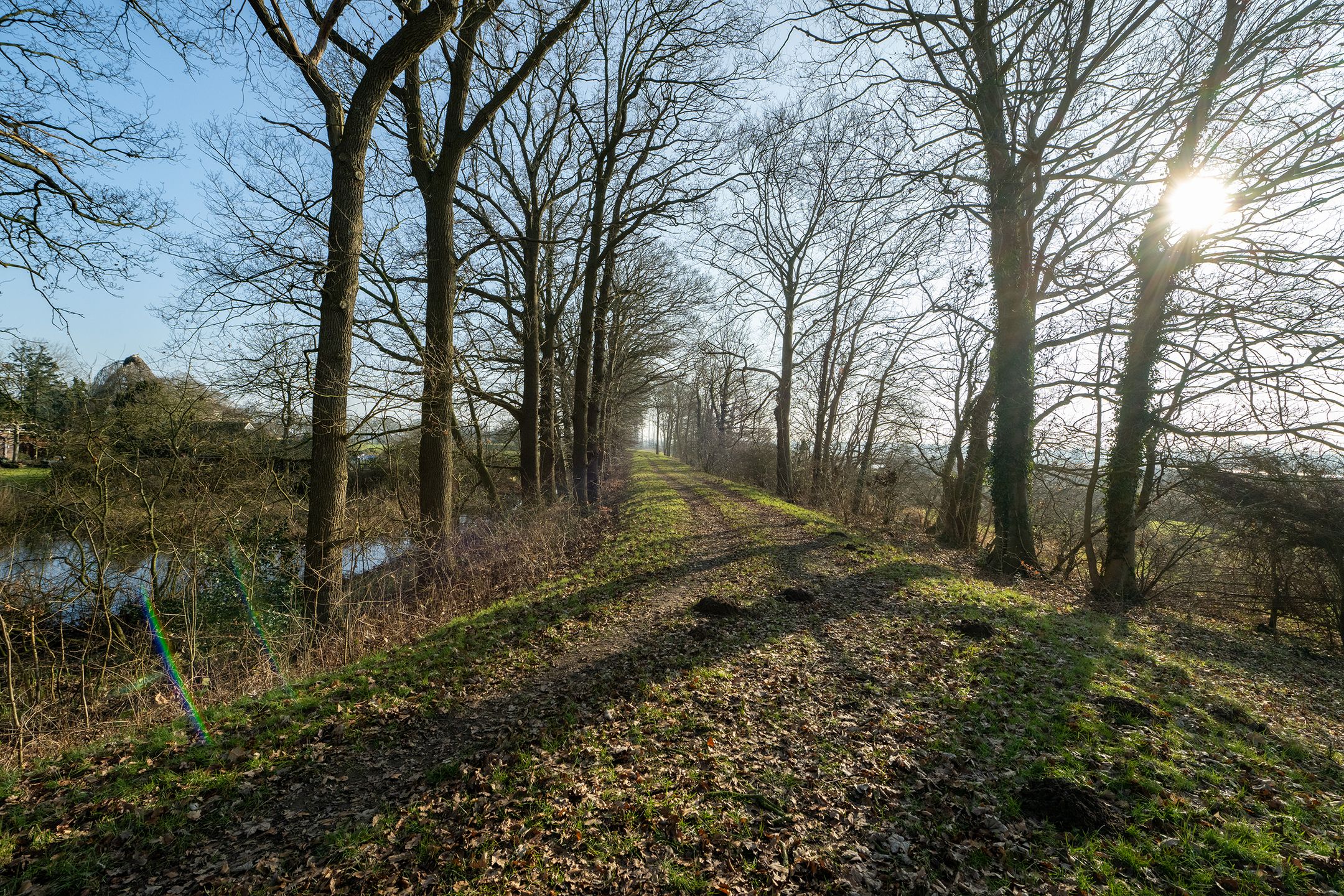 Foto 69 van De Doornweg 45