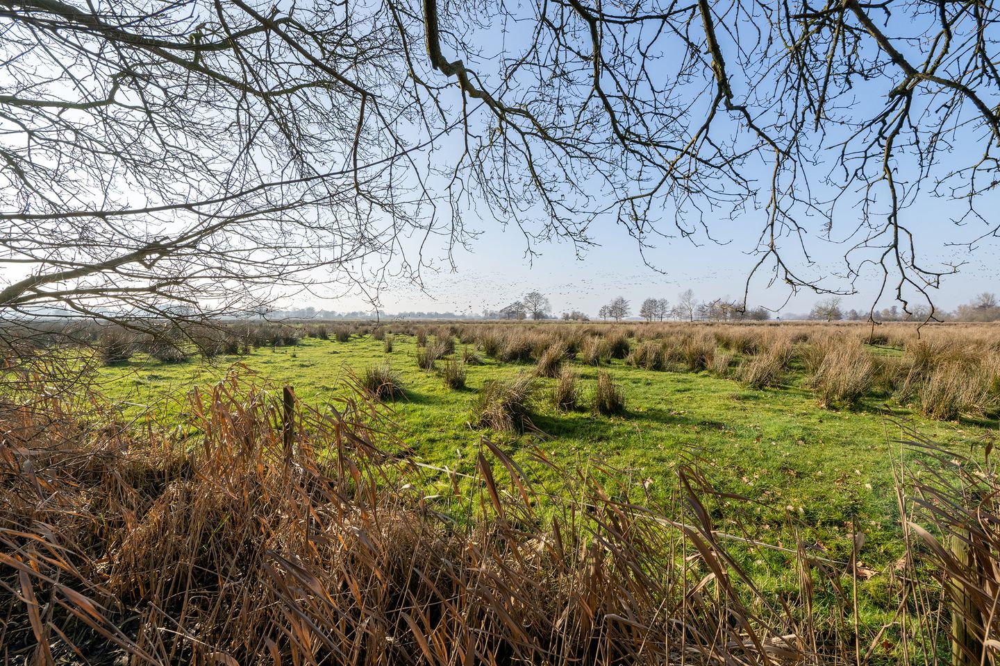 Foto 70 van De Doornweg 45