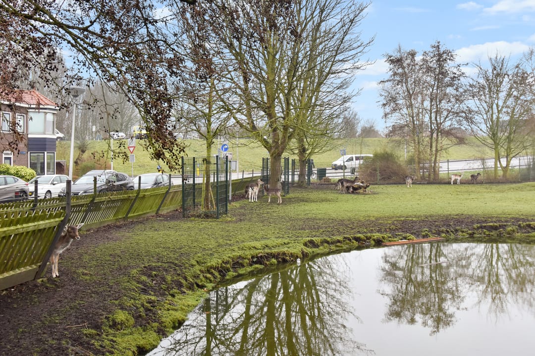 Photo 46 of Krugerlaan 193