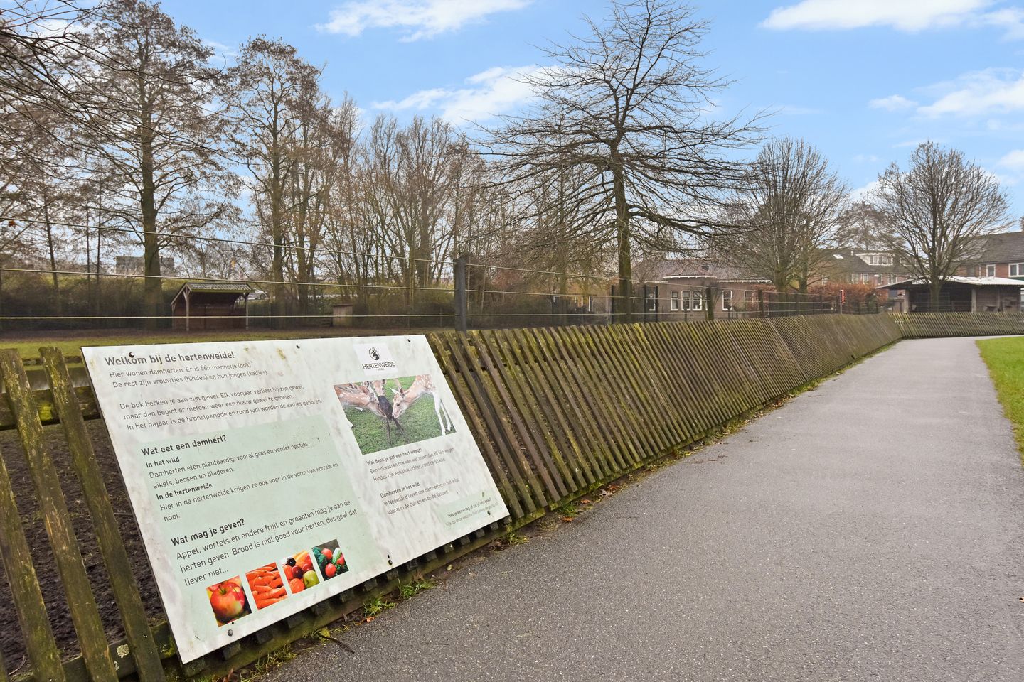 Photo 49 of Krugerlaan 193