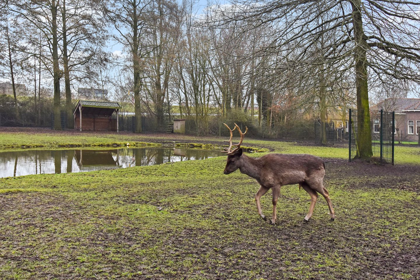 Photo 50 of Krugerlaan 193