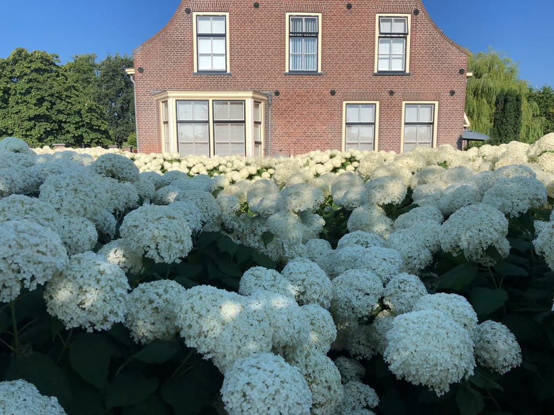 Foto 38 van Lekdijk 75