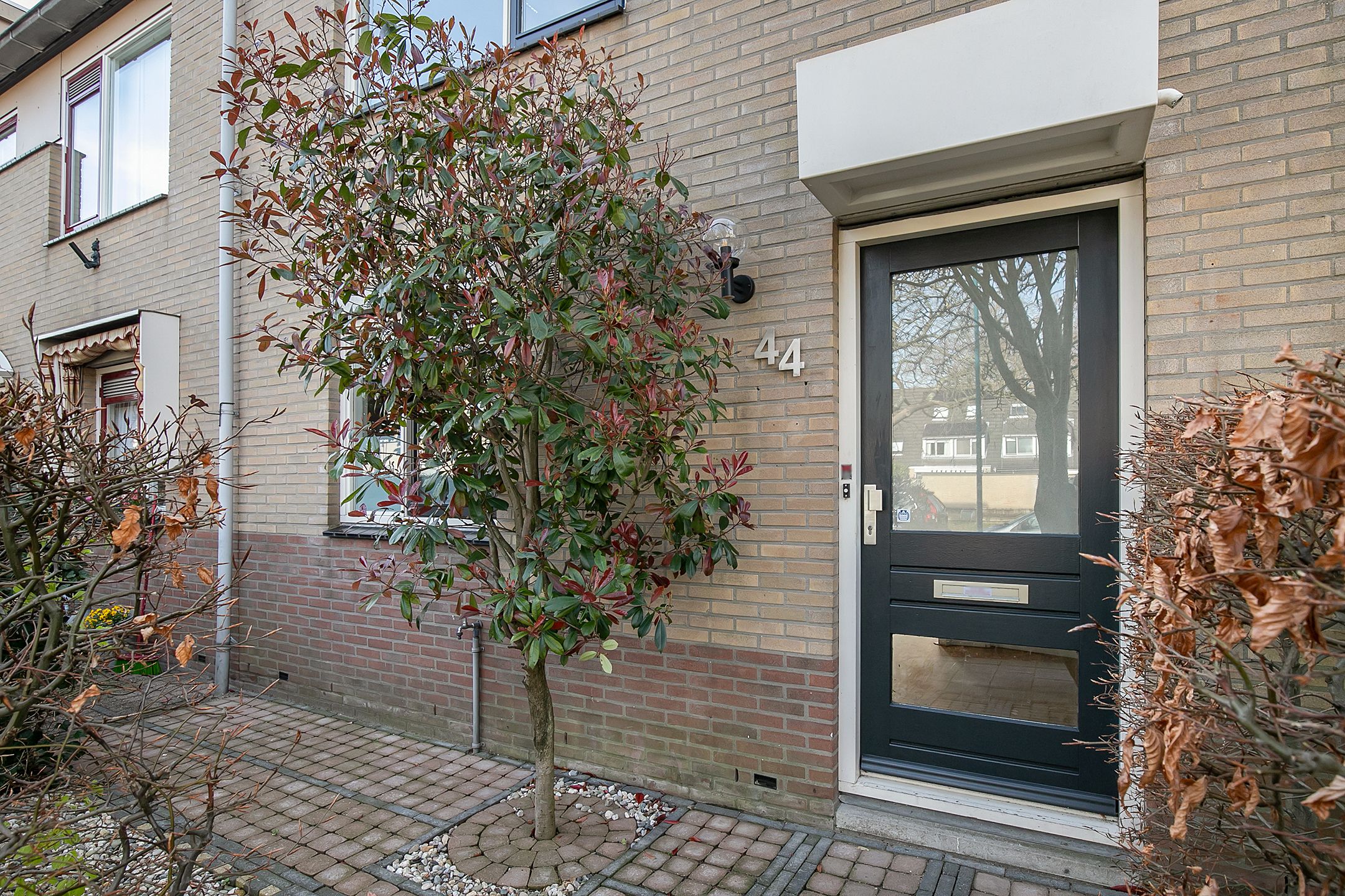 Foto 6 van Bladgroen 44