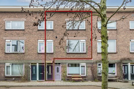 Pelikaanstraat thumbnail