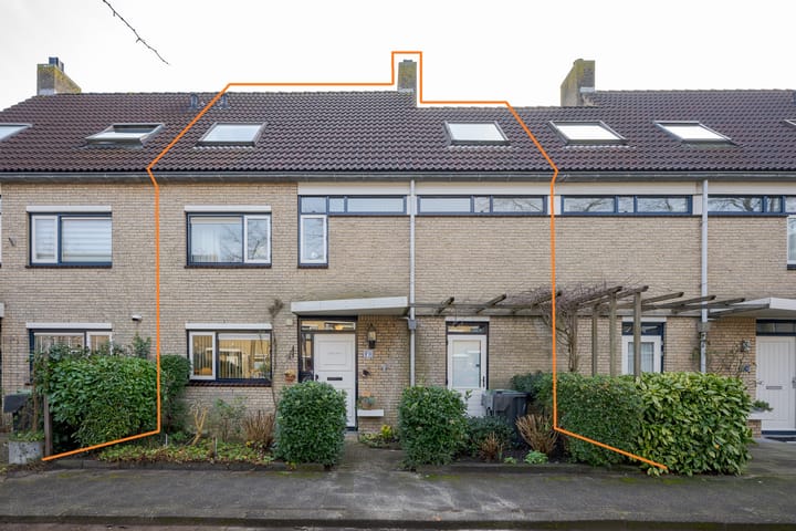 Foto 4 van Graskarper 8