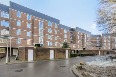 undefined main image