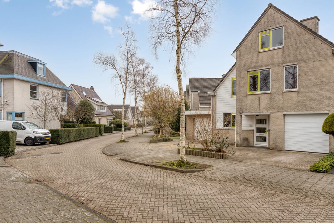 Foto 43 van Standaardmolen 4