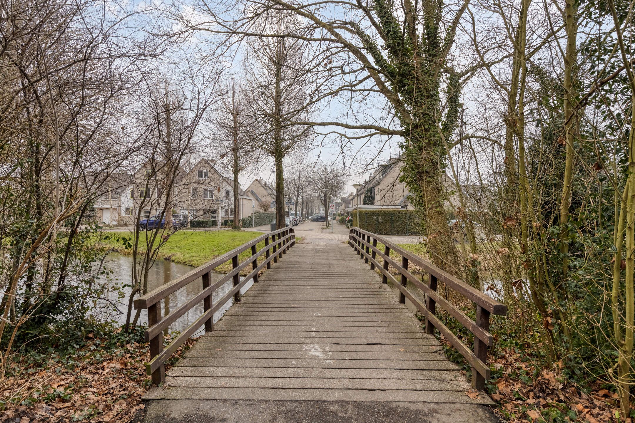 Foto 48 van Standaardmolen 4