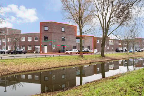 Alikruiksingel thumbnail