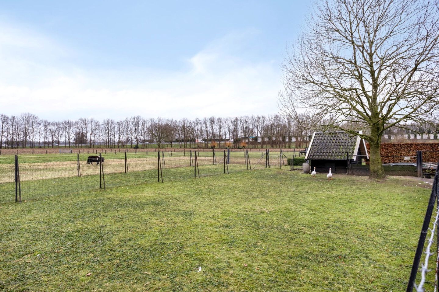 Photo 35 of Hollanderdijk 2