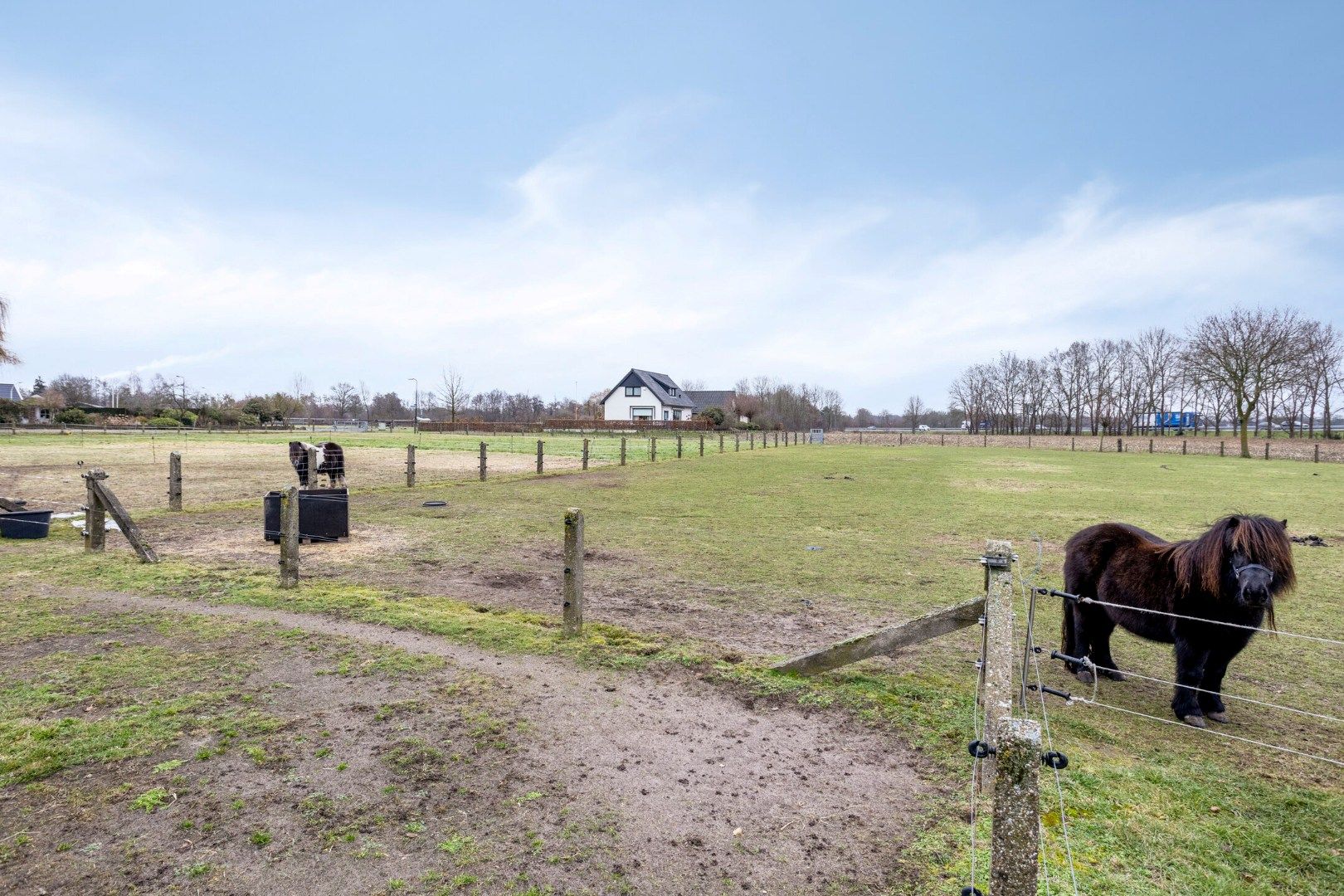 Photo 39 of Hollanderdijk 2