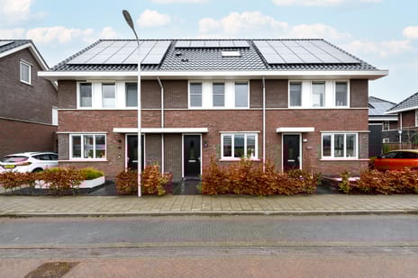 Distelvlinder thumbnail