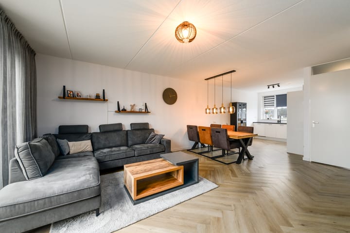 Foto 4 van Distelvlinder 51