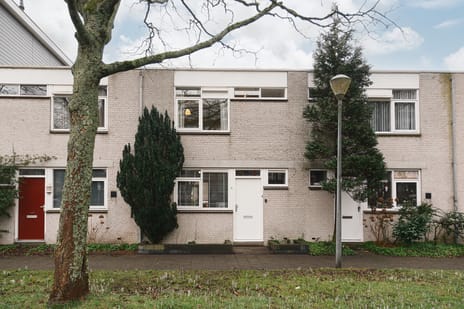 Top Naefflaan thumbnail