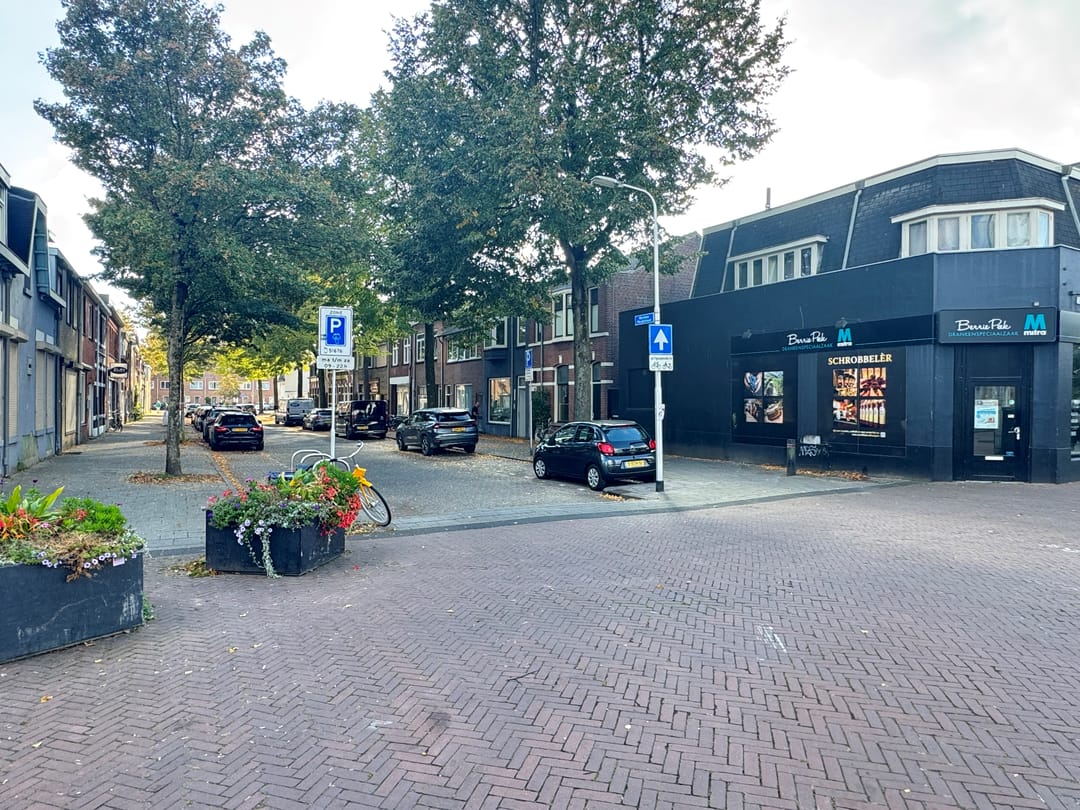 Foto 2 van Nicolaas Pieckstraat 3-A