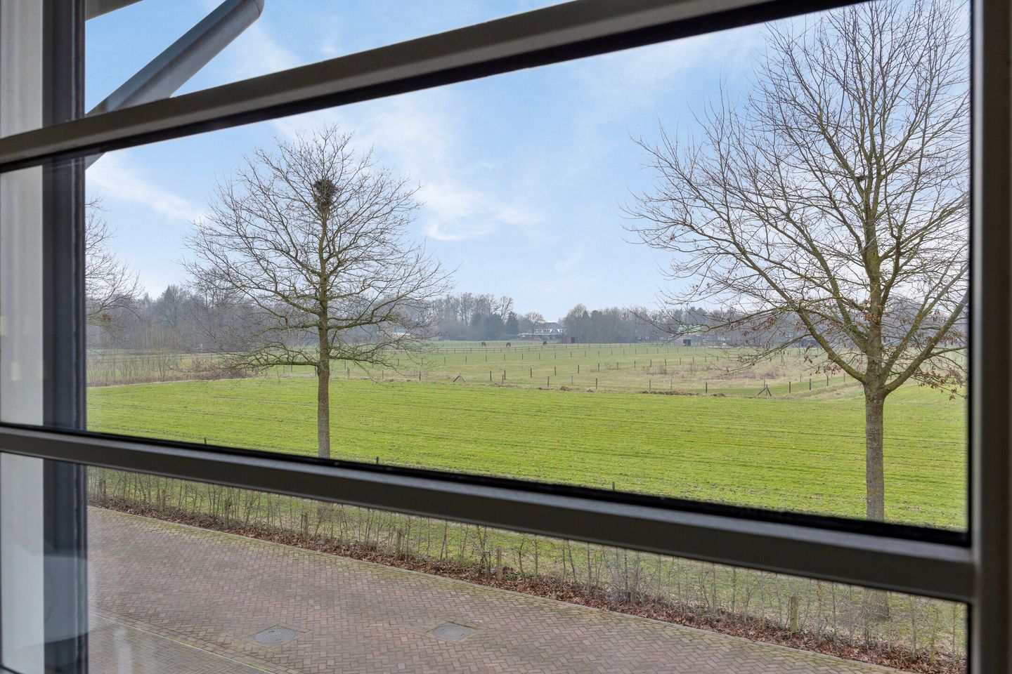 Photo 19 of Windberg 37