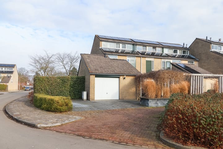Zenegroen 66