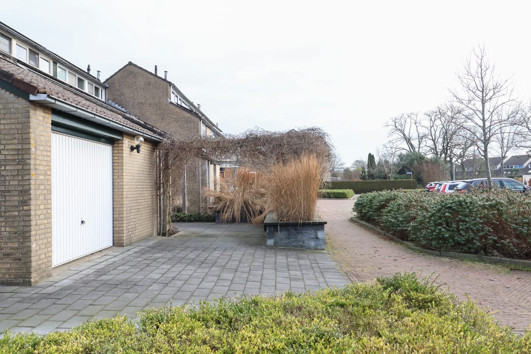 Foto 11 van Zenegroen 66