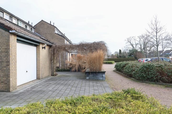 Foto 11 van Zenegroen 66