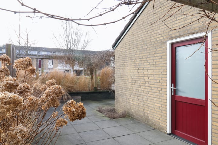 Foto 15 van Zenegroen 66