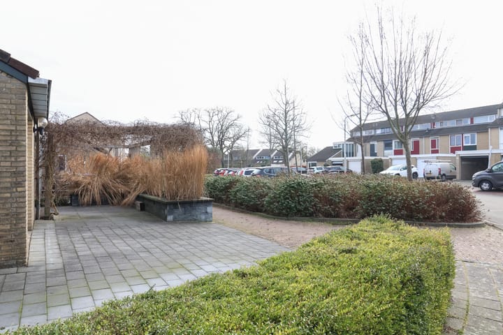 Foto 10 van Zenegroen 66