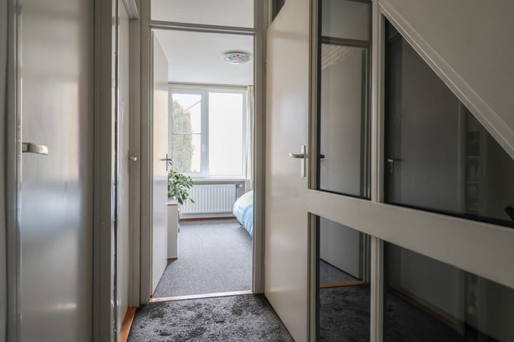 Foto 35 van Zenegroen 66