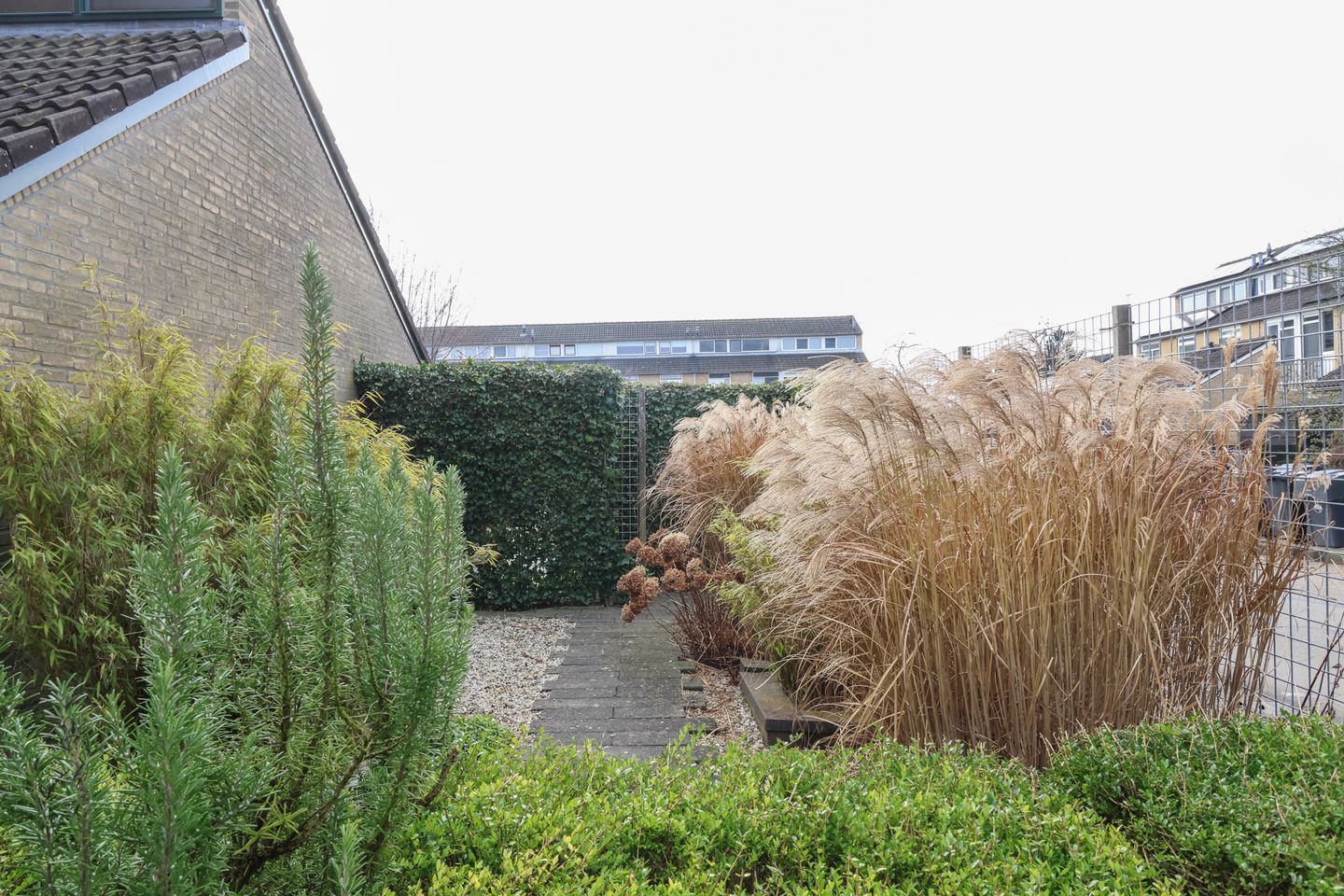 Foto 59 van Zenegroen 66