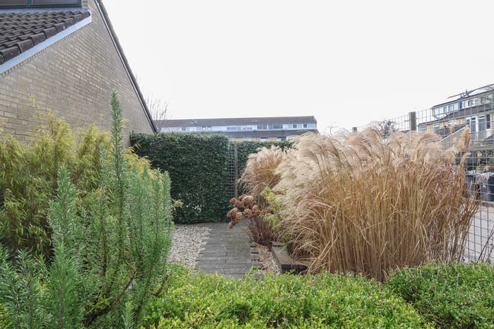 Foto 59 van Zenegroen 66