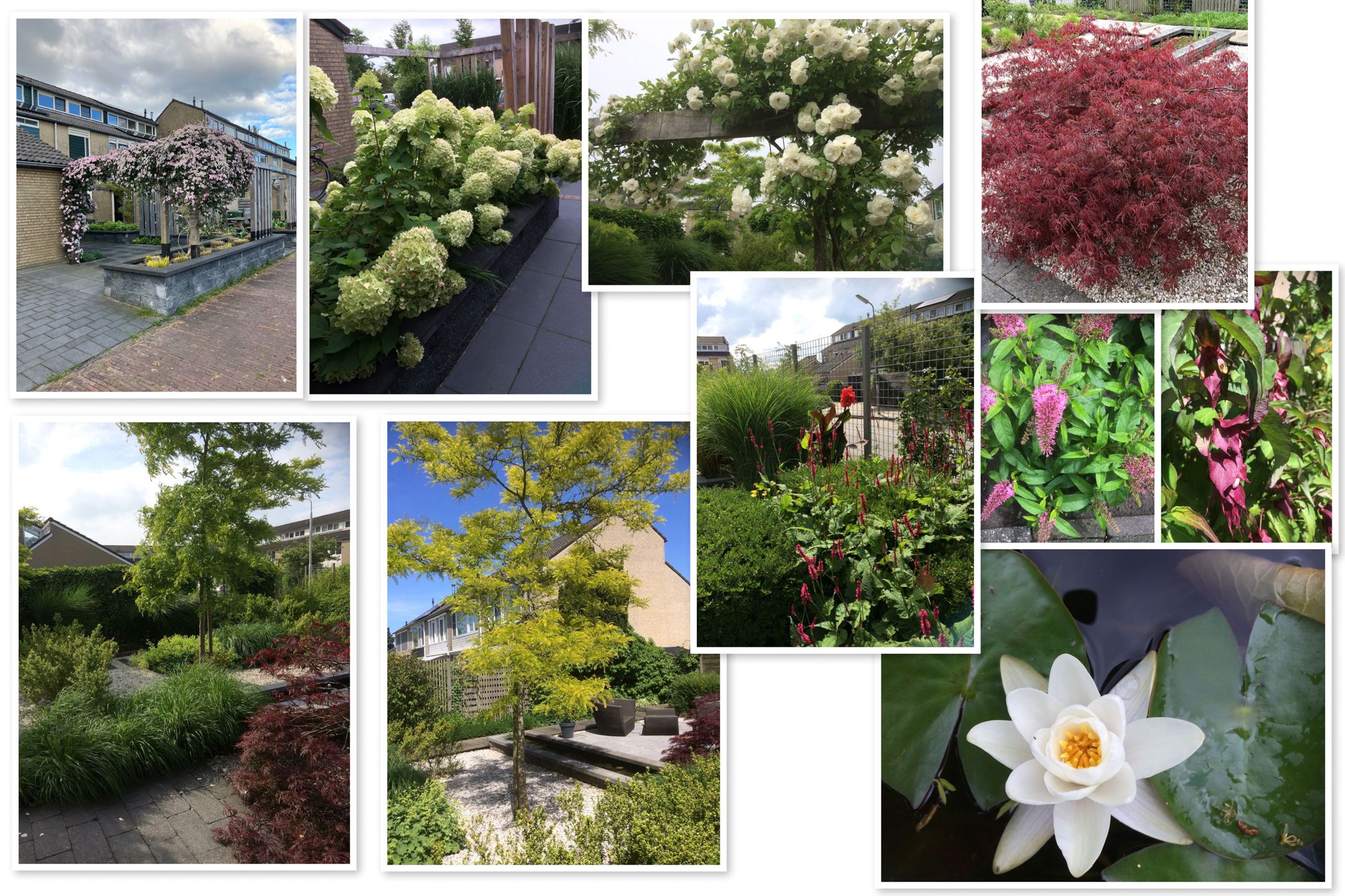 Foto 60 van Zenegroen 66