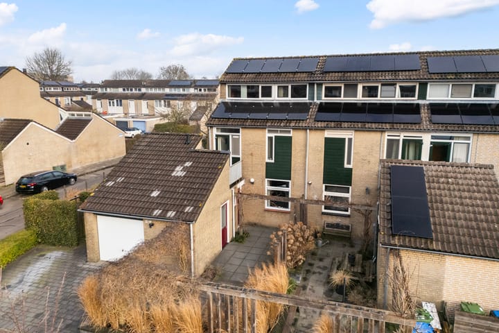 Foto 66 van Zenegroen 66