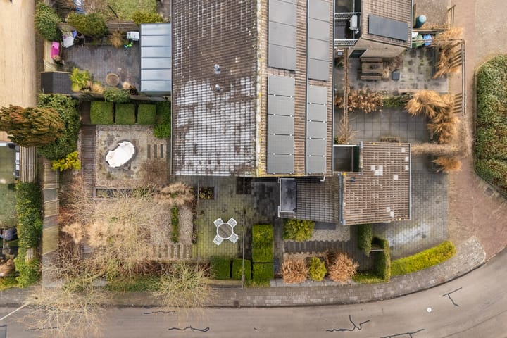 Foto 67 van Zenegroen 66