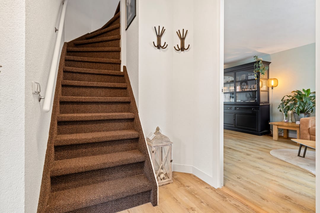 Foto 8 van Zirkoon 3