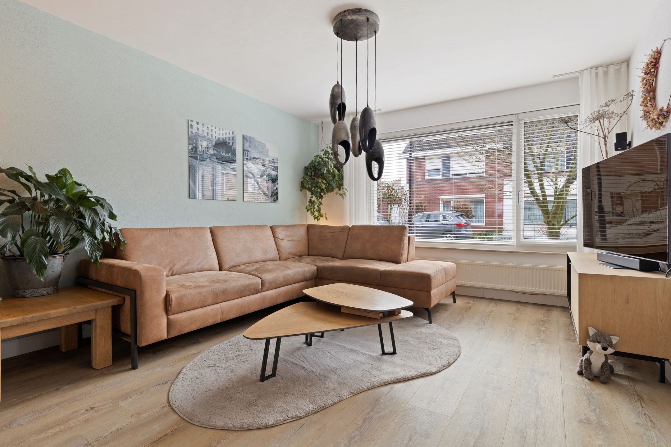 Foto 9 van Zirkoon 3