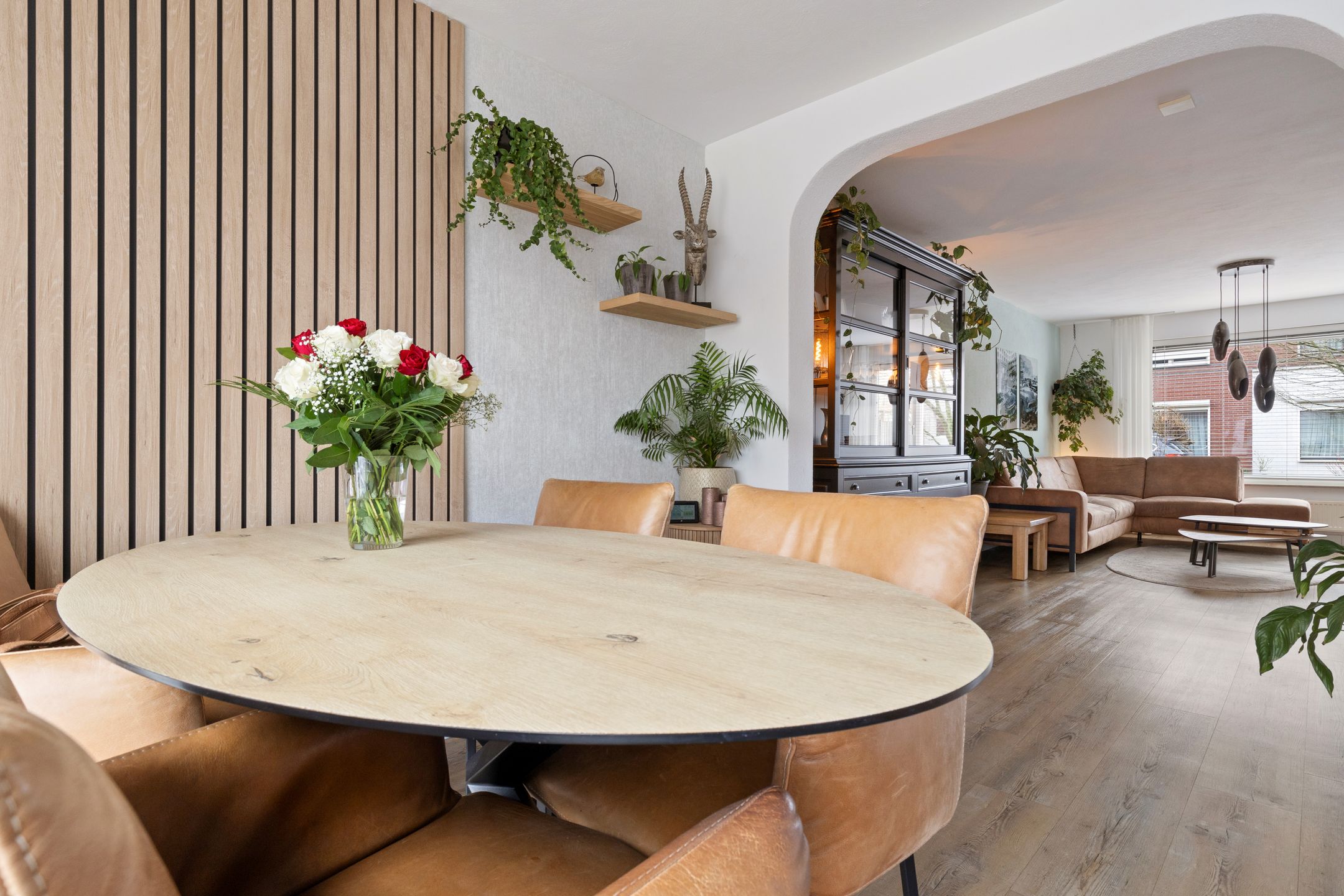 Foto 15 van Zirkoon 3