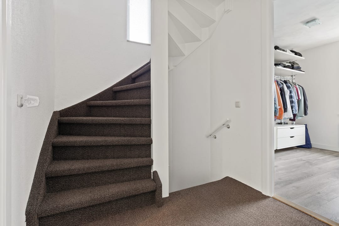 Foto 28 van Zirkoon 3