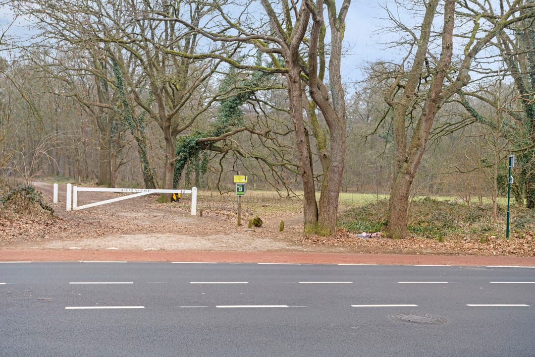 Foto 46 van Heyendaalseweg 259