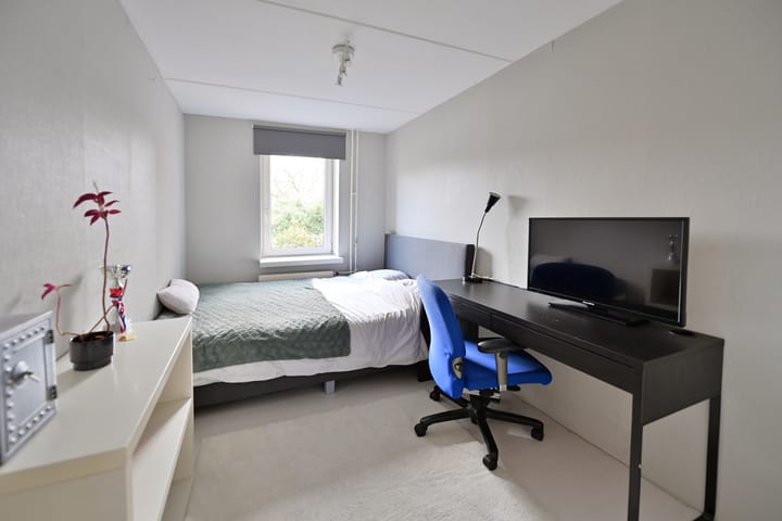 Foto 10 van Rendier 47