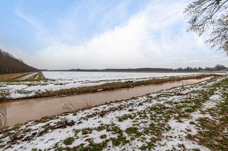 Schuttingslaan 67 tertiary image