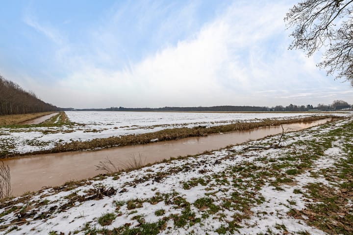 Foto 3 van Schuttingslaan 67