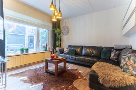 Ridderspoor 33 secondary image