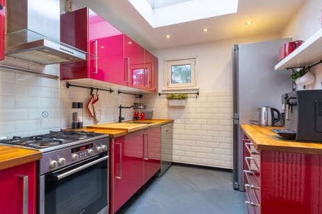 Ridderspoor 33 tertiary image