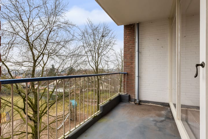 Foto 5 van Henri Dunantlaan 309