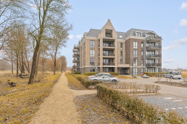 Schieveen 51 main image